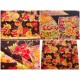 coupon tissu Japonais traditionnel 55x49cm fleuri doré fond noir 8